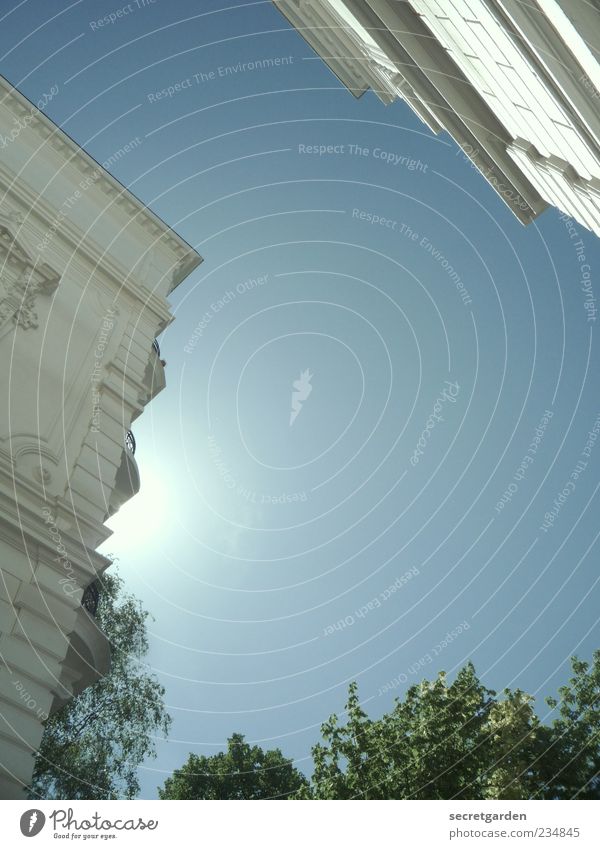 atrium views. Environment Cloudless sky Sun Sunlight Spring Summer Beautiful weather Plant Tree Manmade structures Building Architecture Facade Illuminate