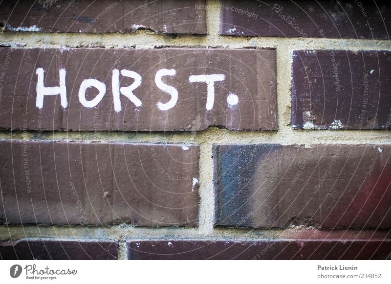 aerie Wall (barrier) Wall (building) Sign Characters Graffiti Eyrie Point White Colour photo Exterior shot Close-up Pattern Structures and shapes Deserted Day