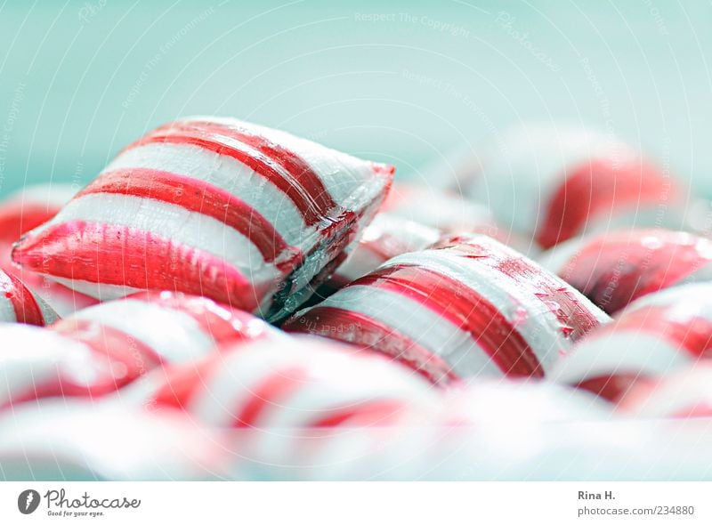 PepperMint II Candy Happiness Bright Sweet Multicoloured Pink White Joie de vivre (Vitality) Striped Colour photo Copy Space top Shallow depth of field