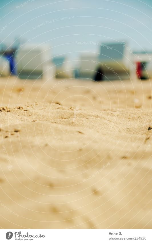 beach sand Summer Beach Ocean Nature Sand Beautiful weather Warmth Coast Baltic Sea Warnemünde Darss Prerow Dream Moody Happy Contentment Indifferent