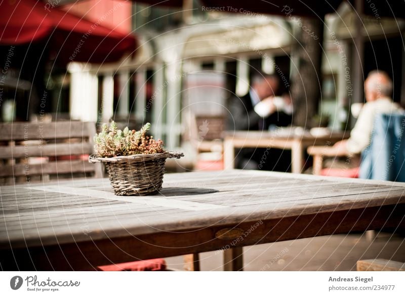 coffee break Lifestyle Harmonious Well-being Contentment Café Human being Masculine Friendship Adults 2 45 - 60 years Decoration Table Chair Flowerpot Wood