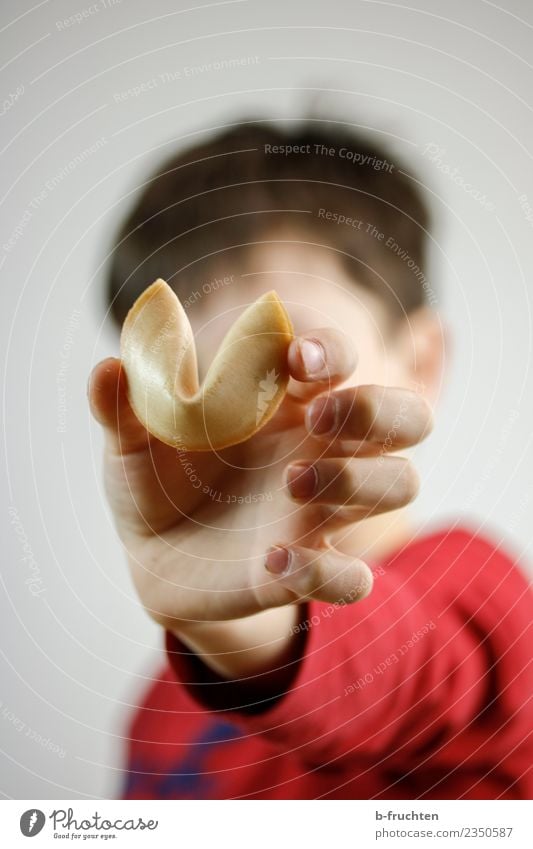 Such luck(skeks) Child Boy (child) Hand Fingers 3 - 8 years Infancy Touch To hold on Looking Happiness Fresh Joy Happy Friendship Advertising Fortune cookie