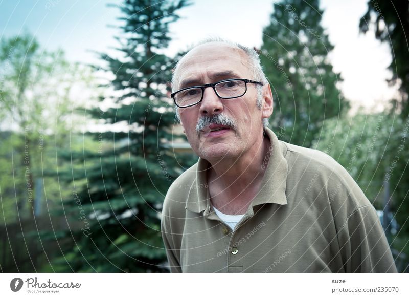 building saver Retirement Human being Masculine Man Adults Senior citizen 1 Tree Eyeglasses Green Skeptical Neighbor Facial hair Mistrust Colour photo