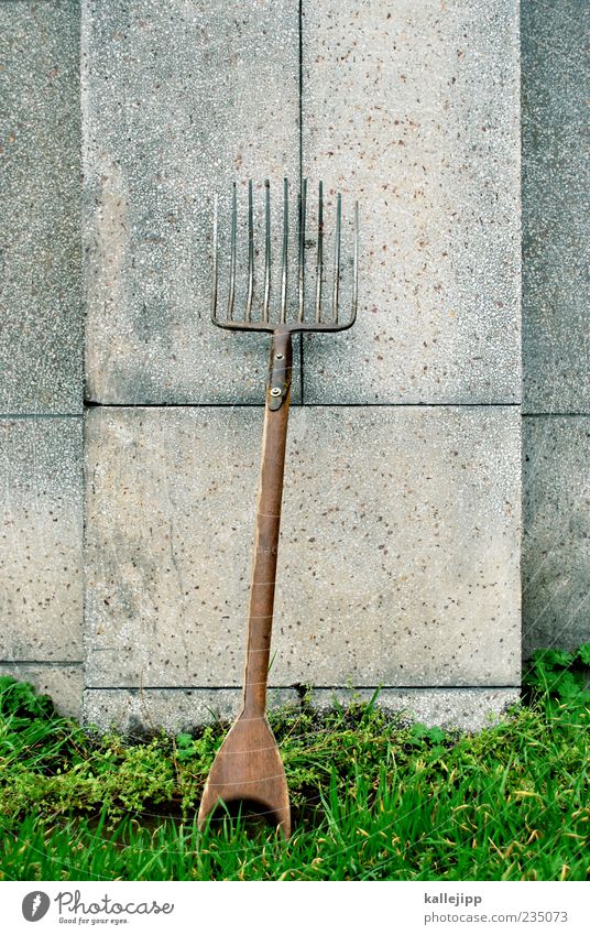 cutlery Work and employment Workplace Point Pitchfork Tool Lean Colour photo Exterior shot Day Light Shadow Contrast 1 Deserted