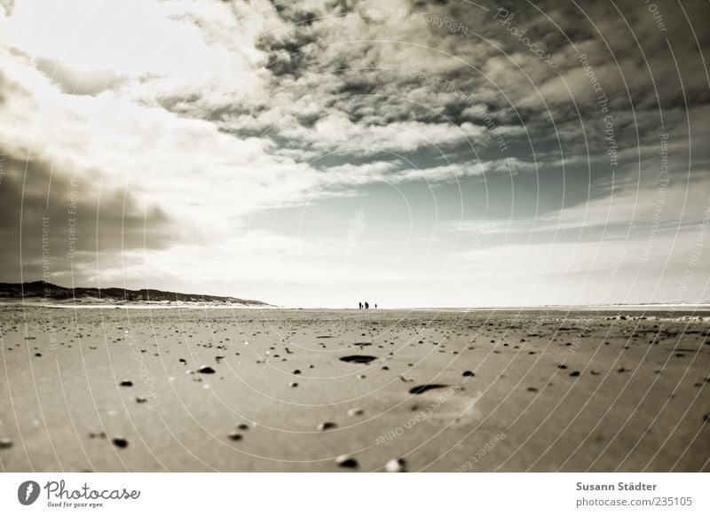 Spiekeroog sand between the toes. Earth Sand Sky Clouds Coast Beach North Sea Ocean To enjoy Shell sand Mussel Footprint Imprint Storm clouds Dark Sunbeam