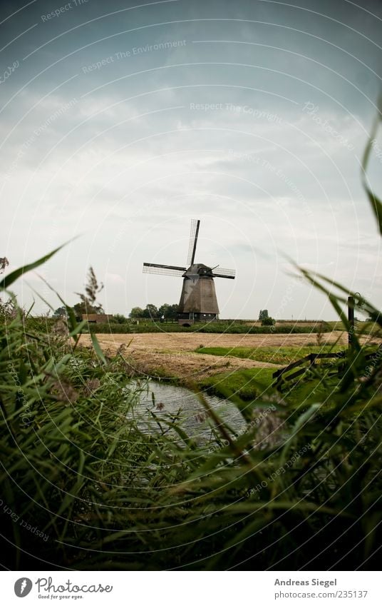 Schermerhoorn Summer Nature Landscape Sky Beautiful weather Grass Field Netherlands Village Manmade structures Building Windmill Tourist Attraction Landmark Old