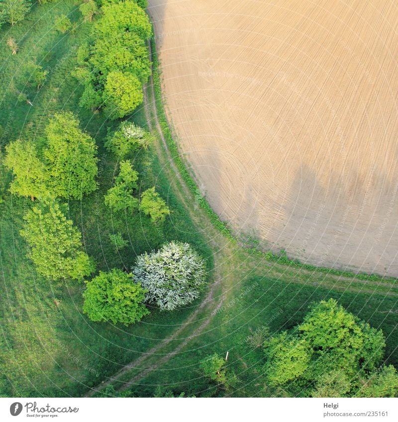 Aerial view with field, trees, grass and path in spring Environment Nature Landscape Plant Earth Spring Beautiful weather Tree Grass Bushes Field Lanes & trails