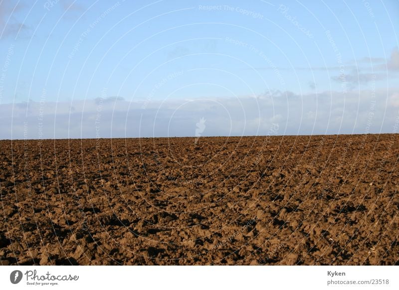 Mother Earth Field Meadow Brown Horizon Agriculture Sky Blue Contrast Nature