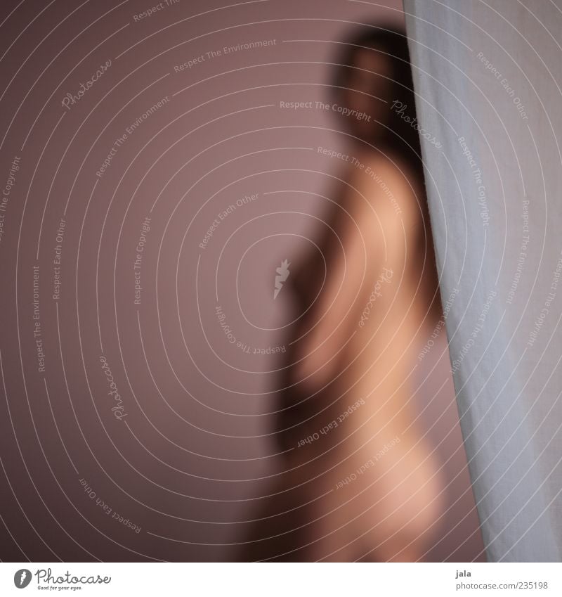 strip Human being Feminine Woman Adults 1 Eroticism Naked Violet Drape Colour photo Interior shot Copy Space left Neutral Background Day Blur