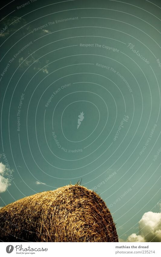 straw Environment Nature Sky Clouds Summer Beautiful weather Round Bale of straw Partially visible Colour photo Multicoloured Exterior shot Deserted