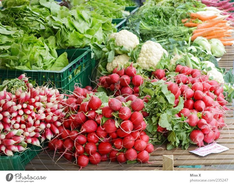 radish Food Vegetable Lettuce Salad Nutrition Organic produce Vegetarian diet Fresh Healthy Delicious Juicy Green Red Farmer's market Vegetable market