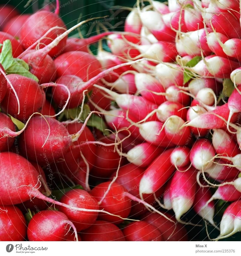 radish Food Vegetable Nutrition Organic produce Vegetarian diet Fresh Small Delicious Red Radish Colour photo Multicoloured Close-up Pattern