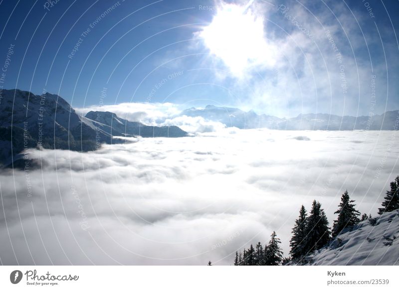 at the very top Winter White Tree Cold Fir tree Slope Fog Clouds Peak Mountain Blue Snow Sun arboretum Climbing