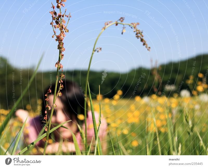 Chill out in the meadow Human being Young woman Youth (Young adults) Woman Adults 1 Nature Landscape Plant Spring Summer Beautiful weather Grass Blossom