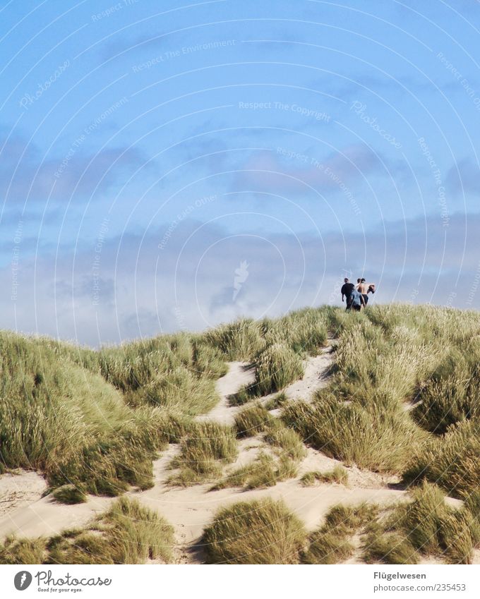 Towards the summer Vacation & Travel Tourism Trip Summer Summer vacation Human being Nature Landscape Sky Beautiful weather Coast Movement Beach dune