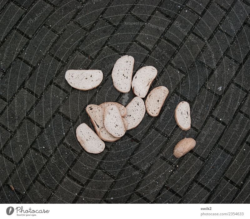 breadloaf Food Bread Slice of bread Street Sidewalk Cobbled pathway Paving stone Concrete Lie Together Under Many Fiasco Adversity Break taboo Lose Doomed