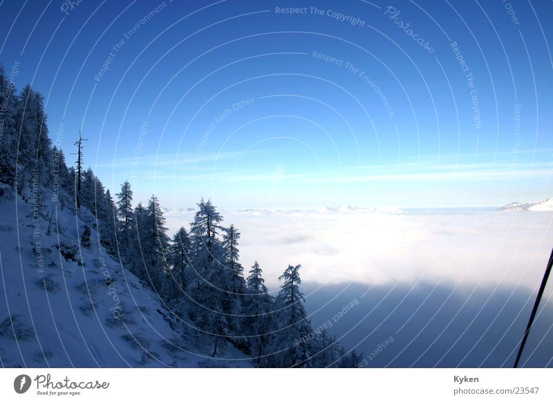 the second outlook Winter White Tree Cold Fir tree Slope Fog Mountain Blue Snow