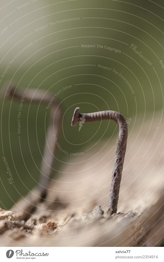 Terribly crooked. Iron Rust Wood Metal Nail Brown Gray Green Transience Warped Curved Old Brittle Weathered Wooden board Colour photo Subdued colour