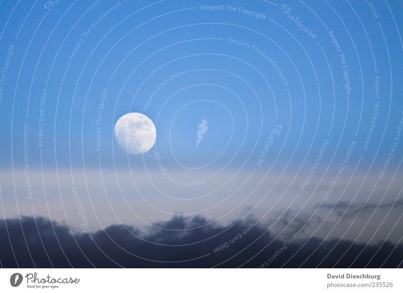 The moon rises... Nature Sky Clouds Storm clouds Moon Full  moon Climate Beautiful weather Blue White Round Moonlight Moonrise Clouds in the sky Cloud cover