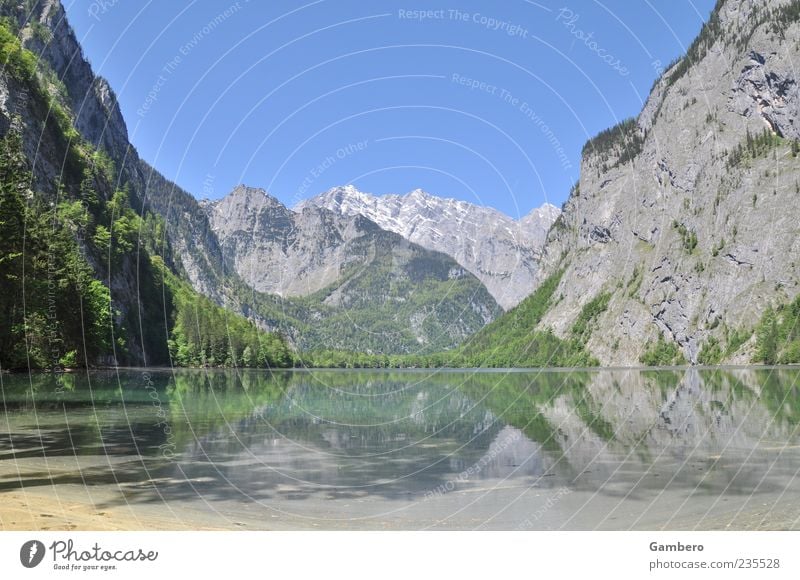 A place to dream Nature Landscape Plant Water Sky Cloudless sky Beautiful weather Tree Rock Alps Mountain Berchtesgaden Alpes Peak Snowcapped peak Lakeside