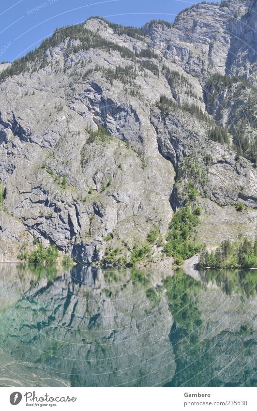 Magic of the mountains Nature Landscape Plant Water Sky Cloudless sky Sunlight Beautiful weather Tree Rock Alps Mountain Berchtesgaden Alpes Peak Lake Idyll