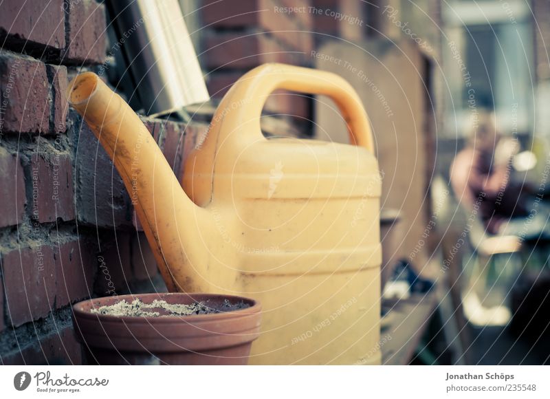 The garden needs water Nature Garden Wall (barrier) Wall (building) Yellow Contentment Relaxation Idyll Watering can Pot Flowerpot Brick Courtyard Nutrition