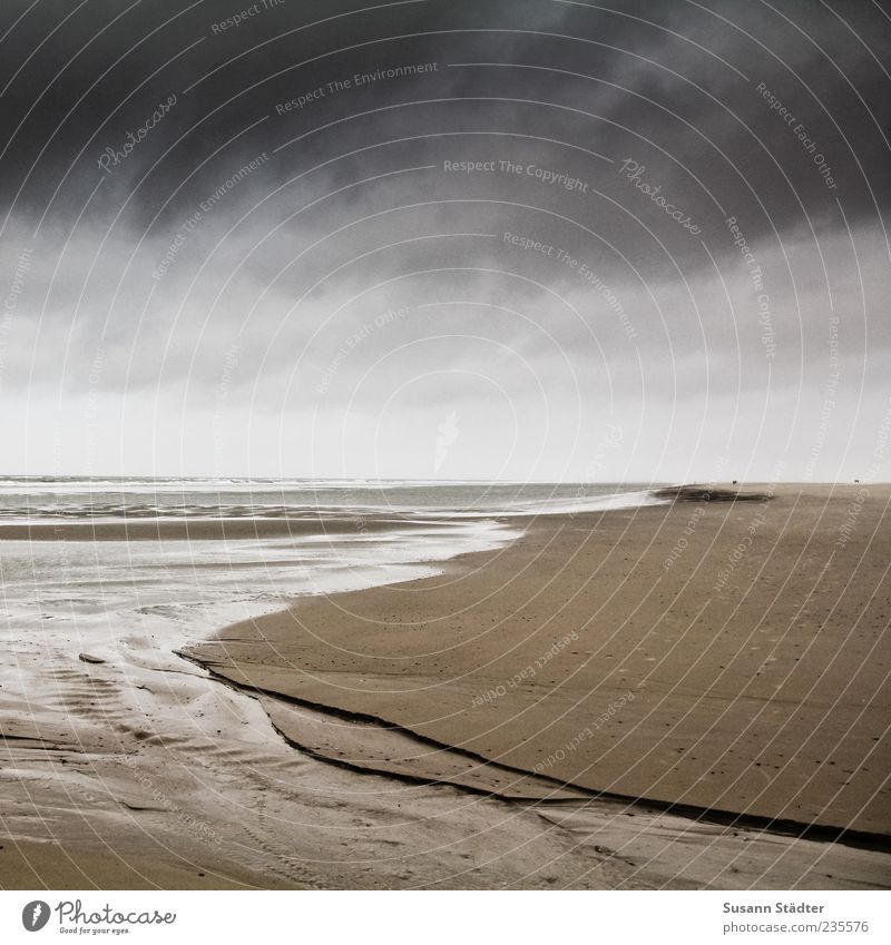 Spiekeroog endless Water Rain Thunder and lightning Waves Coast Beach North Sea Mud flats Clouds Ocean Furrow Tracks Force of nature Dark Colour photo