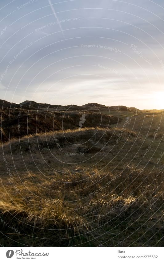 Spiekeroog Crop Circle. Environment Nature Landscape Clouds Grass Exceptional Moody Dune Marram grass Colour photo Subdued colour Exterior shot Deserted