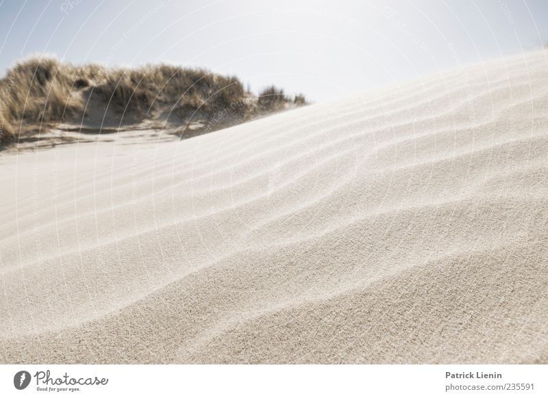 Spiekeroog Soul Meets Body. Beautiful Calm Beach Environment Nature Landscape Plant Elements Sand Sky Weather Beautiful weather Wind Hill Coast Bright Blue Dune