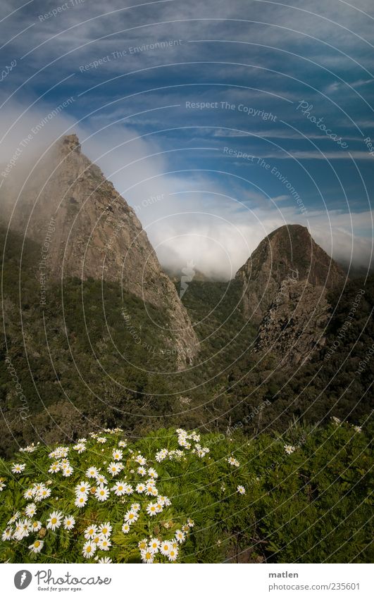 flow Landscape Sky Clouds Beautiful weather Plant Grass Wild plant Rock Mountain Peak Deserted Blue Green White Conical Colour photo Exterior shot