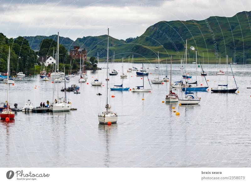 Sailboats in the bay Lifestyle Leisure and hobbies Vacation & Travel Tourism Trip Adventure Cruise Beach Ocean Island Waves Sports Aquatics Landscape Coast Bay