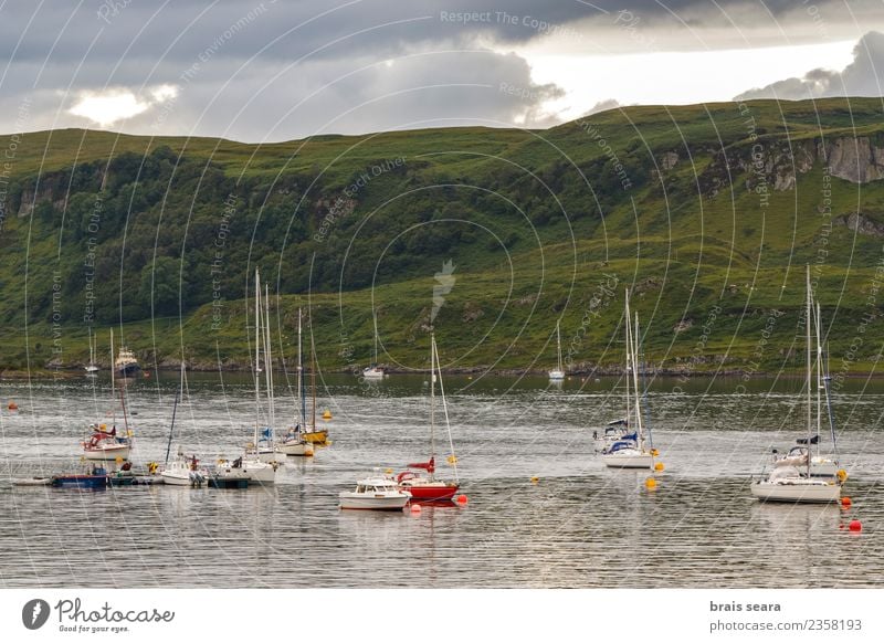 Sailboats in the bay Lifestyle Vacation & Travel Tourism Trip Cruise Beach Ocean Nature Landscape Clouds Coast Bay Fishing village Town Skyline Harbour Building