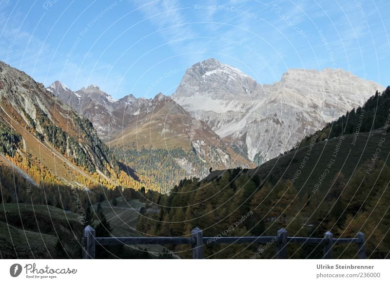 Mountains on the Bernina Pass Nature Landscape Plant Sky Sunlight Autumn Beautiful weather Tree Bushes Rock Alps Switzerland Bernina Mountains Bernina pass Peak