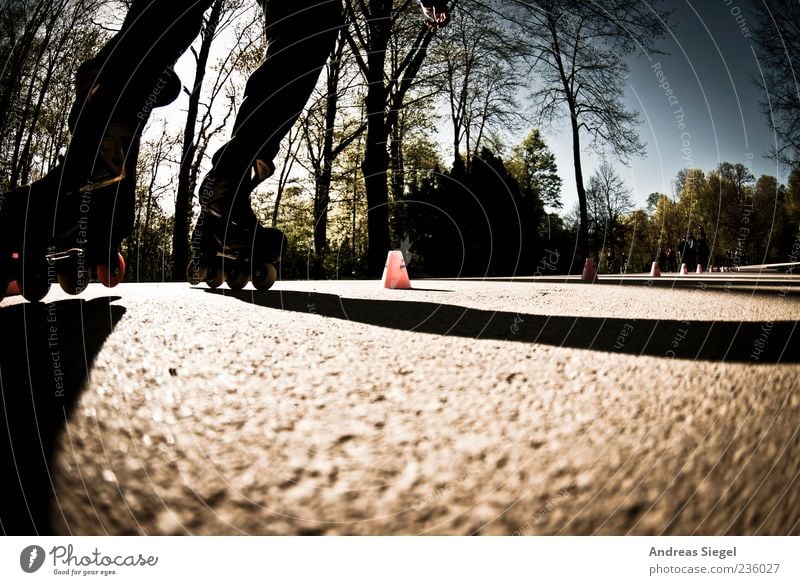 skater Leisure and hobbies Inline skating Sports Sportsperson Beautiful weather Walking Joy Movement Slalom Skittle Asphalt Colour photo Exterior shot Detail