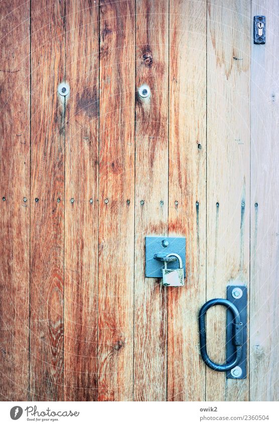 Gate in Torgau torgau Saxony Germany Wood Metal Simple Colour photo Exterior shot Detail Structures and shapes Deserted Copy Space left Copy Space right