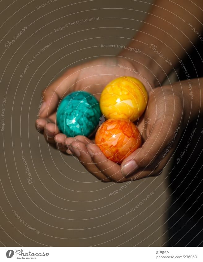 Here you go. Food Human being Infancy Hand Fingers 1 To hold on Public Holiday Easter Tradition Egg Offer Donate Gift Tricolour Swarthy Presentation Decoration