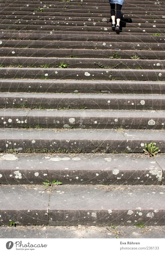 stairway Legs 1 Human being Stairs Pedestrian Skirt Leggings Concrete Movement Going Above Gray Endurance Effort Colour photo Exterior shot Day Rear view