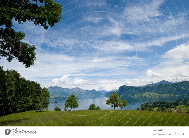 Overview of the Nature Landscape Sky Clouds Beautiful weather Tree Alps Mountain Peak Snowcapped peak Lakeside Natural Blue Green Water Meadow Colour photo