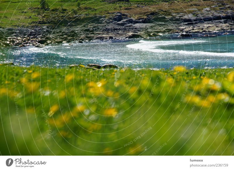 soul kiss Summer Waves Nature Landscape Water Grass Coast Bay Ocean Norway Europe Scandinavia Natural Blue Green Exterior shot Blur Deserted