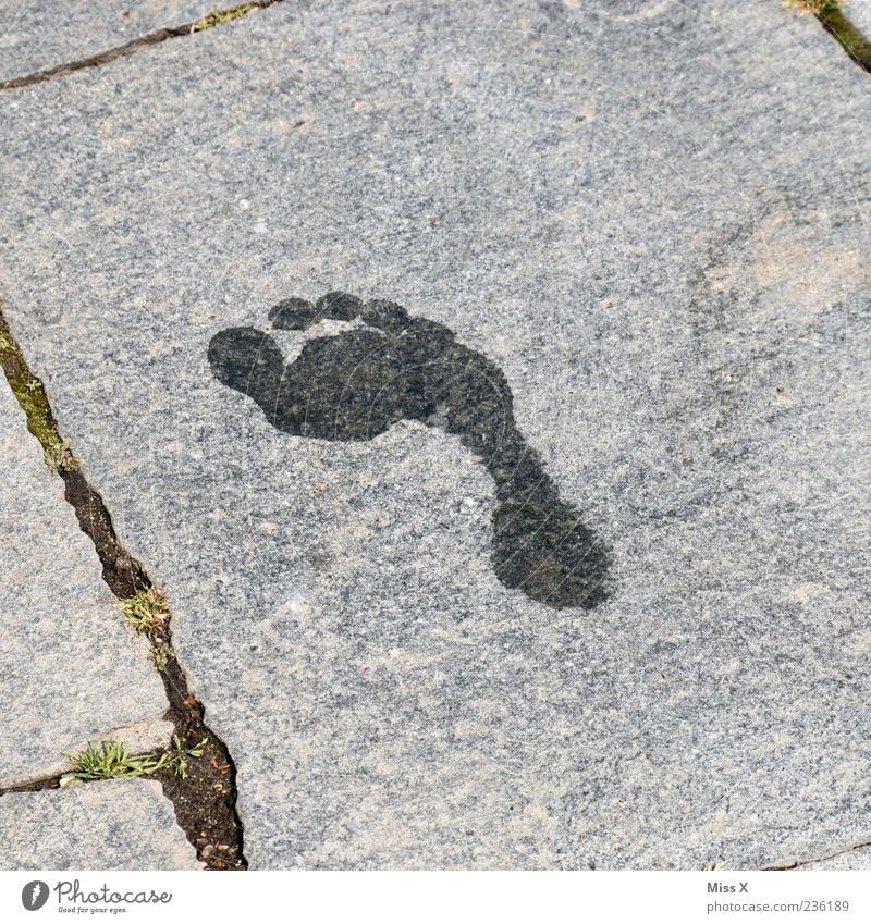 barefoot Feet Wet Barefoot Tracks Footprint Imprint Toes Water Stone slab Colour photo Subdued colour Exterior shot Deserted Copy Space left Copy Space right