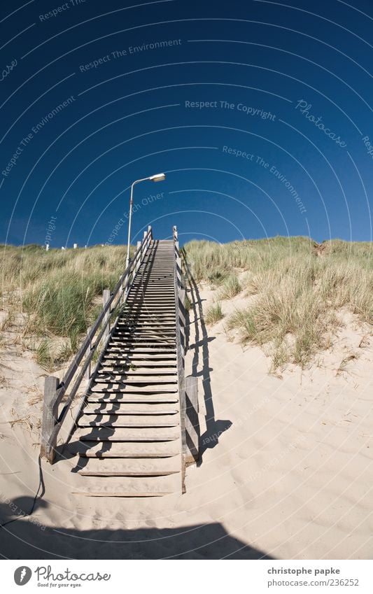 Stairway to heaven Vacation & Travel Tourism Summer Beach Sand Cloudless sky Beautiful weather Coast Stairs Wood Beginning Go up Beach dune Marram grass