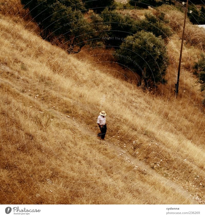 Long Way Home Well-being Contentment Relaxation Calm Vacation & Travel Trip Human being Male senior Man 60 years and older Senior citizen Nature Summer Meadow