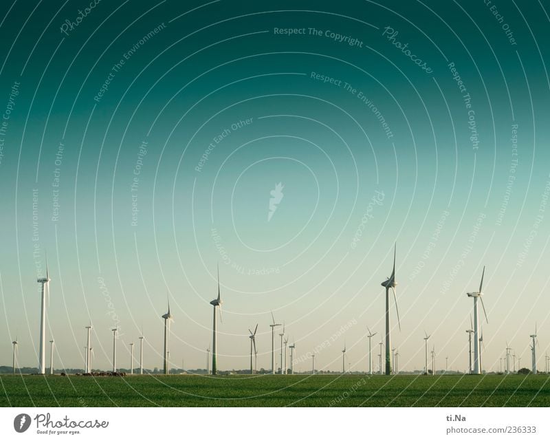 Dithmarschen, the last adventure Wind energy plant Landscape Sky Spring Beautiful weather Meadow Field Rotate Large Blue Green Climate Environmental protection