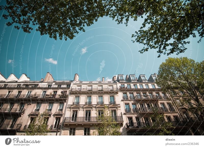 Boulevard Saint-Michel Sky Clouds Beautiful weather Tree Leaf Paris France Europe Town Capital city Downtown Old town House (Residential Structure)