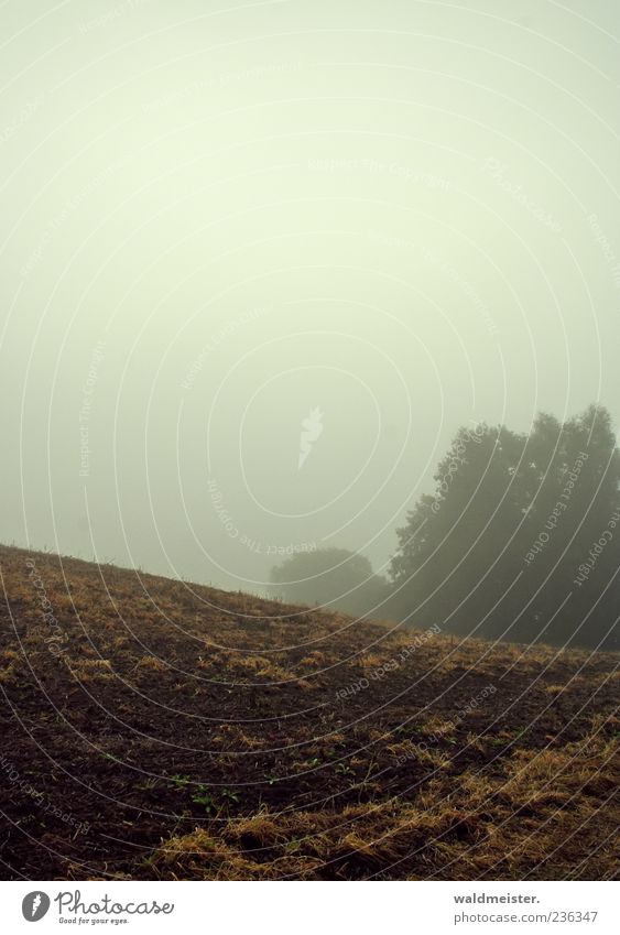 autumn Nature Landscape Autumn Weather Fog Field Brown Gray Emotions Apocalyptic sentiment Dreary Arable land Agriculture Colour photo Far-off places Deserted