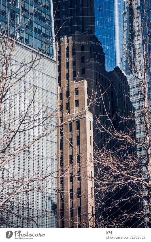 NYC - Manhattan Winter Tree New York City USA Americas Capital city Downtown Deserted High-rise Facade Window Stone Concrete Glass Steel Gigantic Large Tall