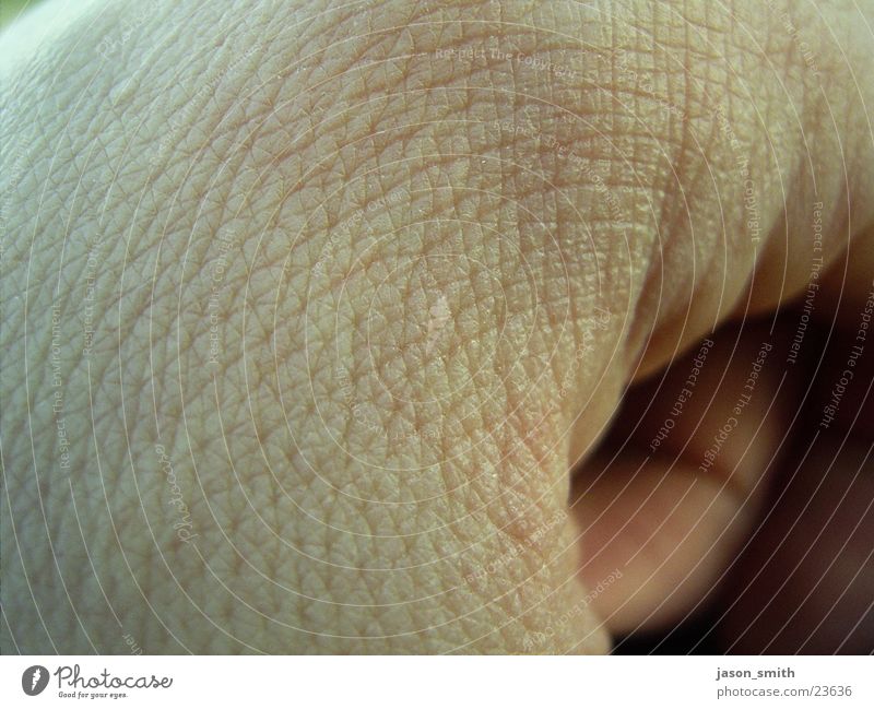 elephant vs. human Cold Hand Near Man colder Skin Macro (Extreme close-up) unfortunately a little dark