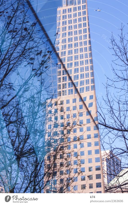 NYC Winter Beautiful weather Tree New York City USA Americas Capital city Downtown Deserted High-rise Building Architecture Facade Window Helicopter Stone