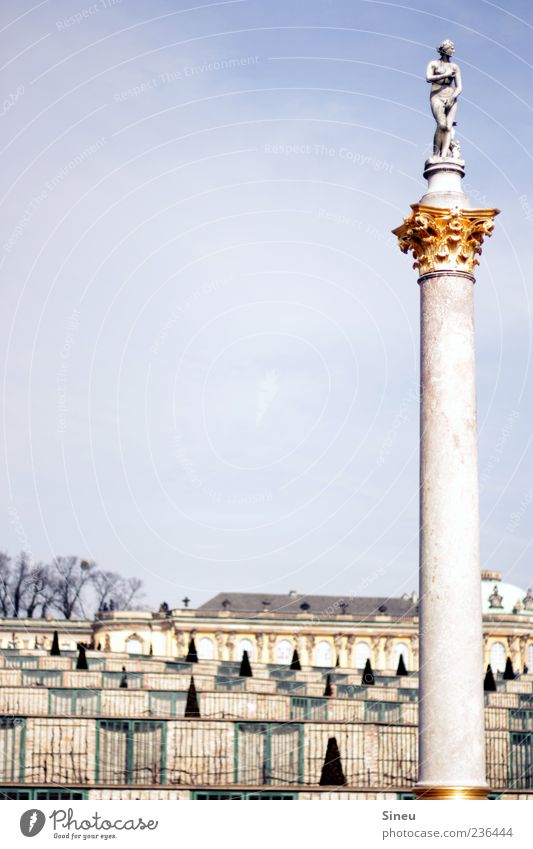 unworried Sky Beautiful weather Park Potsdam Tourist Attraction Chateau Sanssouci Tall Culture Tourism Past Luxury Colour photo Exterior shot Deserted