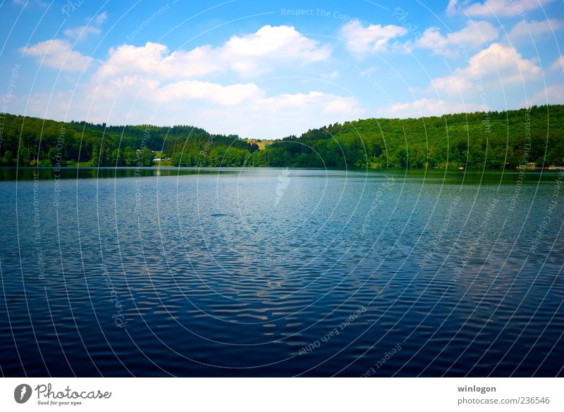 * Drinking water Vacation & Travel Far-off places Freedom Summer Summer vacation Environment Nature Water Sky Beautiful weather Forest Lake Eifel Germany